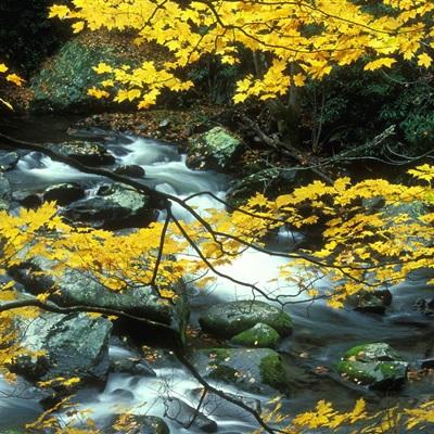 麻将胡了pg网站